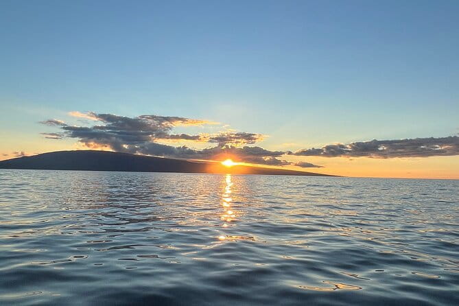 West Maui Sunset Whale Watch - Price and Value