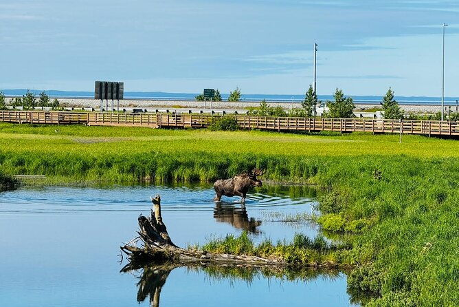 Whittier to Anchorage Land Transfer Tour - FAQ