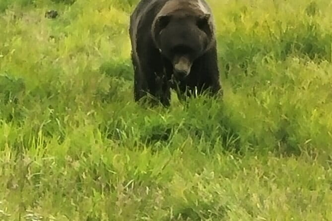 Wildlife Center with Lunch & Local Beer Sampling - Winter&Summer - Final Thoughts