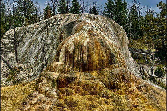 Yellowstone Wildlife and Photo Tours “Upper Loop” Tour From Cody - Final Thoughts