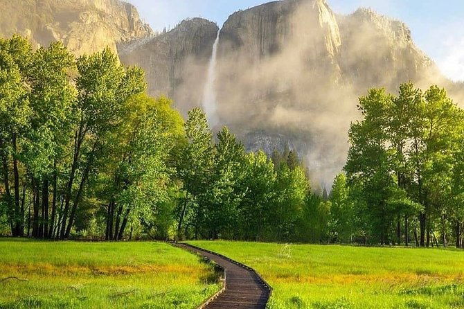 Yosemite National Park and Giant Sequoias Tour from San Jose - The Giant Sequoias: Tuolumne Grove