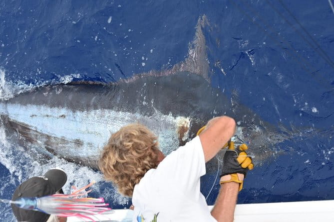 6 Hour Fishing Charter - A Detailed Look at the 6-Hour Fishing Charter on Hawaii’s Big Island