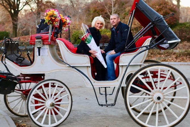 60 min surprise proposal carriage ride - Introduction