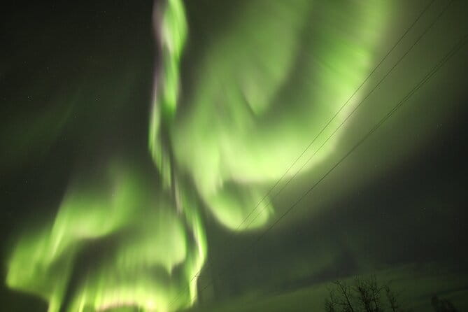 1 Day Shared Tour Arctic Circle and Aurora Viewing in Alaska - FAQ