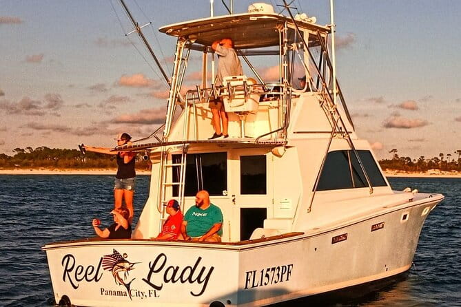2 Hour Private Dolphin Sightseeing Tour - Price and Value