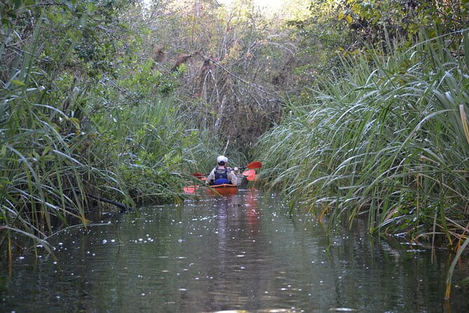 2Hour Everglades Kayak Safari Adventure Through Mangrove Tunnels - Frequently Asked Questions
