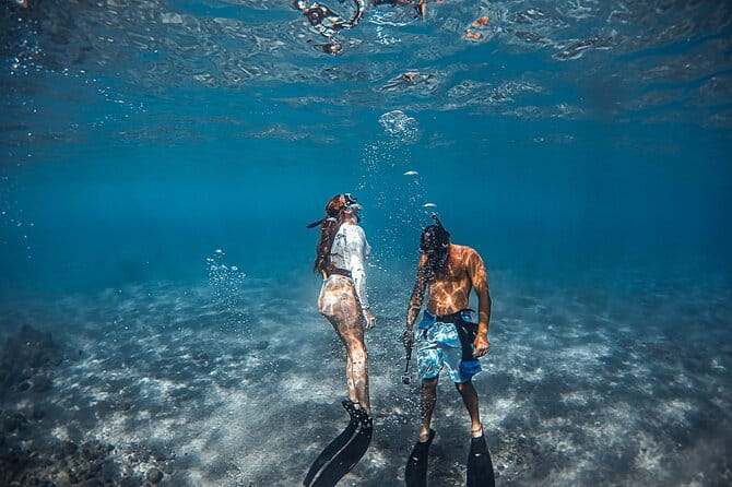 4 hour Private Custom Kayak Tour Lahaina - Authentic Traveler Insights