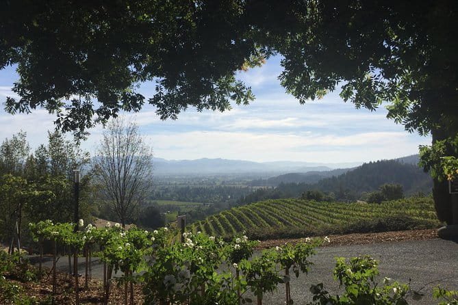 6-Hour Private Wine Country Tour of Napa Valley (up to 6 people) in Large SUV - FAQs