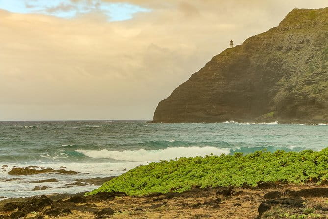 Best of Oahu: Pearl Harbor & Oahu Circle Island Tour from Waikiki - Authentic Experiences and Real Traveler Feedback