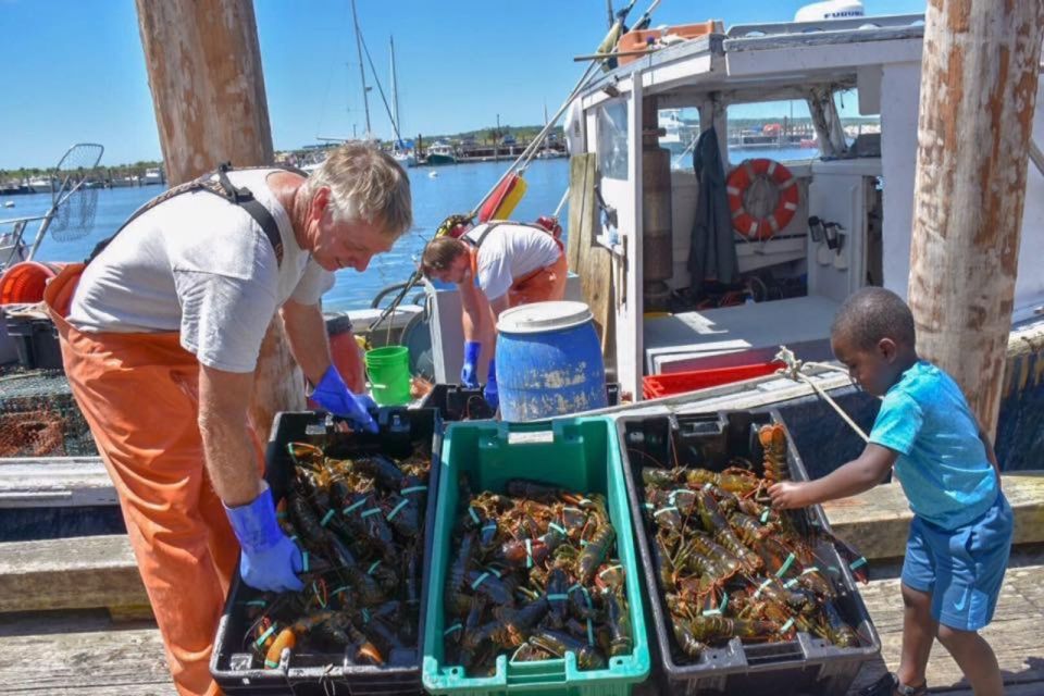Boston: Kennebunkport Day Trip with Optional Lobster Tour - Returning to Boston