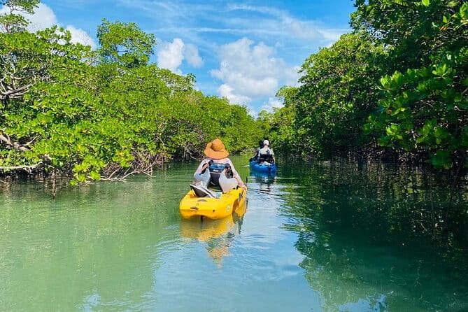 Deluxe Pedal Kayak Tour Marco Island and Naples, Florida - Final Thoughts