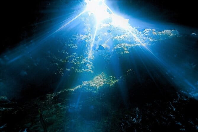 Dolphin, Sea Cave, Captain Cook, Kealakekua Bay Reef Snorkeling - FAQs