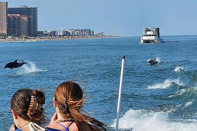 EARLY BIRD SPECIAL: Speed Boat & Dolphin Cruise in Ocean City, MD - The Sum Up: Who Is This Tour For?