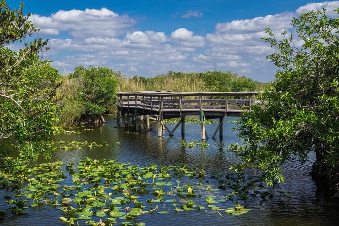 Everglades National Park Self Guided Driving Audio Tour - Main Park Exploration & Snake Bight Trail