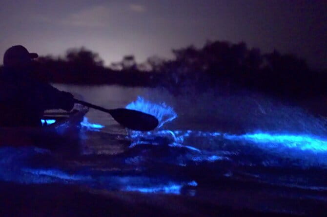Florida Bioluminescence Clear Kayak tour/ Beacon 42 (Titusville) - Florida Bioluminescence Clear Kayak Tour at Beacon 42 (Titusville) — An Honest Look