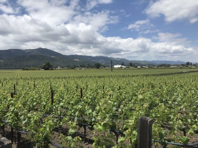 From San Francisco: Private Muir Woods and Napa Wine Tour - The Practicalities: Costs and Considerations