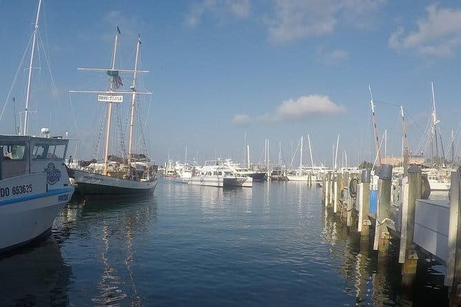 Full-Day Key West Tour and Coral Reef Snorkeling with Open Bar - Wrapping It Up