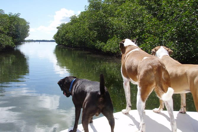 Half Day Private Boat Tour - FAQ: Your Questions Answered