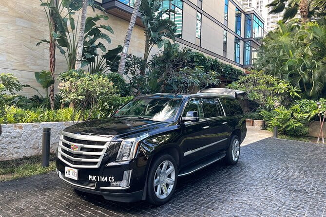 Honolulu Harbor Cruise Terminal Transfer by Luxury Vehicle - Who Will Love This Service?