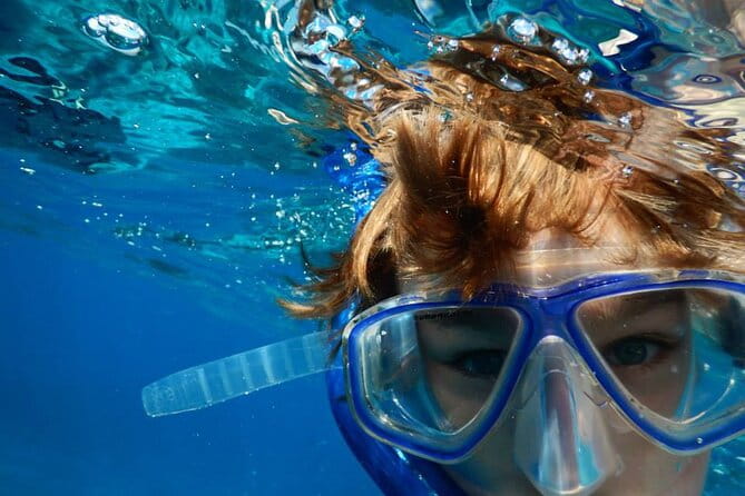 Islamorada: Snorkel adventure & Sandbar Trip - FAQ