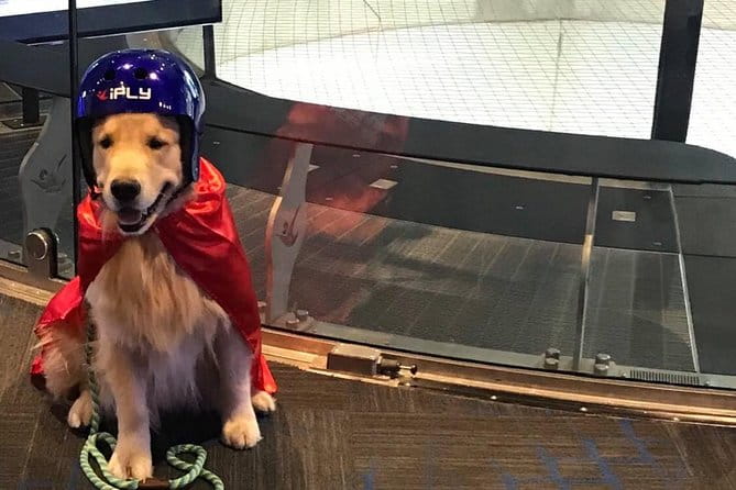 Kansas City Indoor Skydiving Admission with 2 Flights & Personalized Certificate - The Sum Up: Who Will Get the Most Out of This Experience?