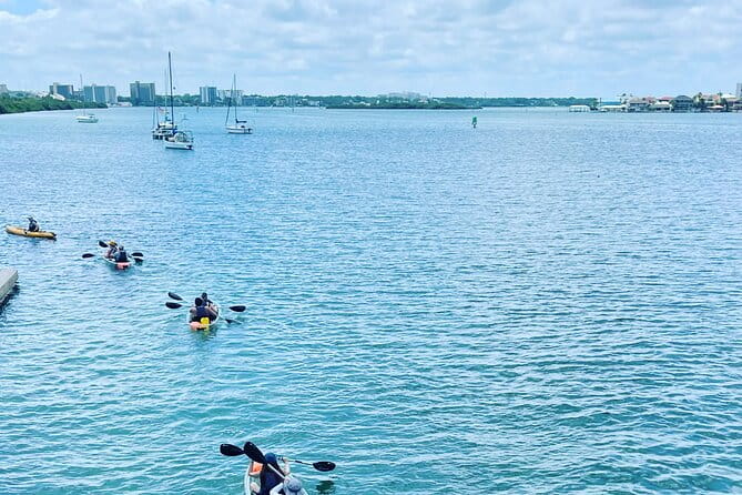 Kayaking Clear through Clearwater - FAQs