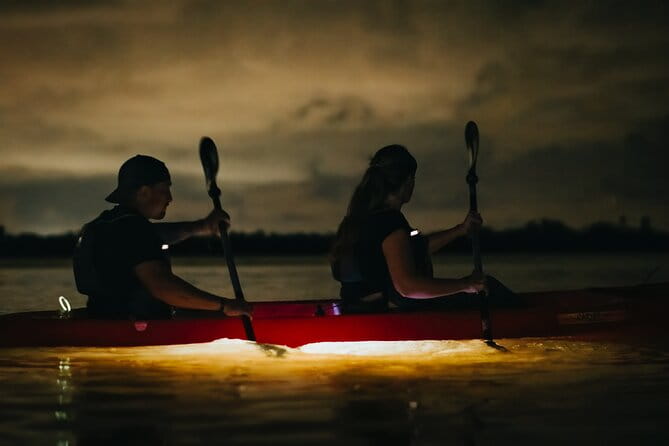 LED Bio Comb Jelly Clear Bottom Kayak or Paddleboard Tour! - Final Words