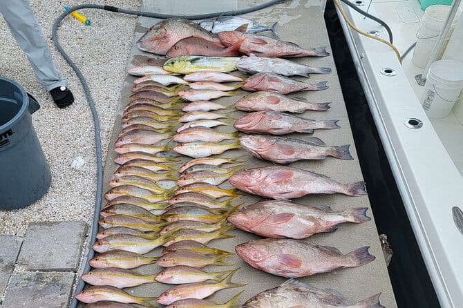 Marathon Florida Keys Fishing Experience - Final Thoughts