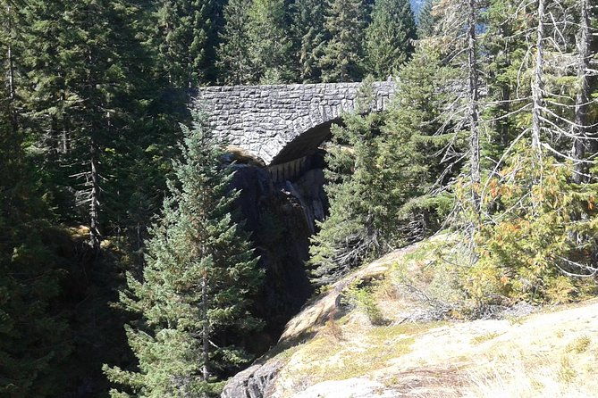 Mount Rainier Tour from Seattle - Who Should Consider This Tour?