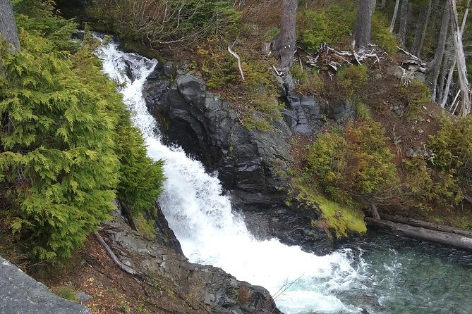Mt Rainier Private Tour Experience in SUV - FAQs