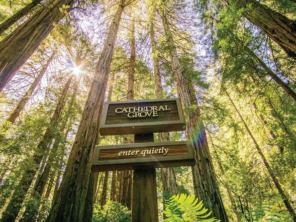 Muir Woods & Sausalito Tour - FAQ