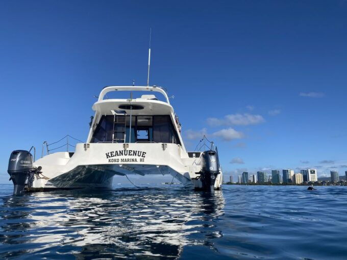 Oahu: Private Turtle Snorkeling with Customizable Itinerary - Final Thoughts