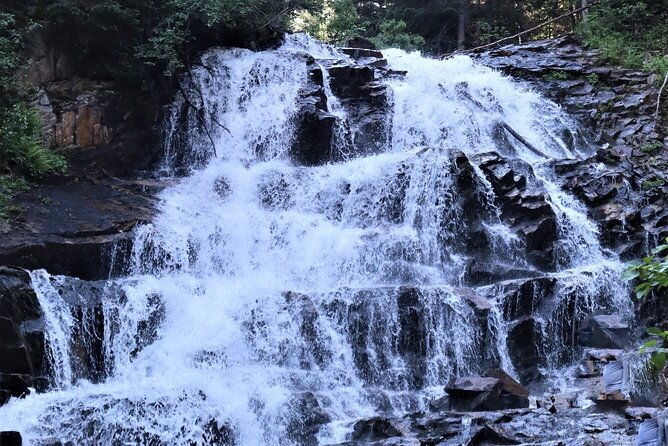 Private Half-Day Scenic Drive Through Salt Lake's Best Canyons - Authentic Perspectives from Reviewers