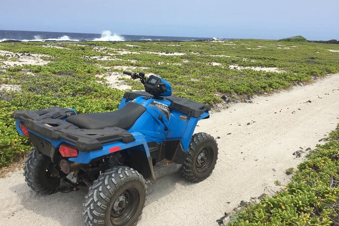 Private Island Tour in Hawaii with Pickup Included - The Sum Up: Who Should Book This Tour?