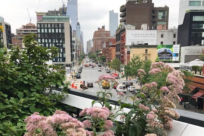 Private Meatpacking District, Chelsea Market, and The Highline Walking Tour - The Sum Up: Is This Tour Right for You?
