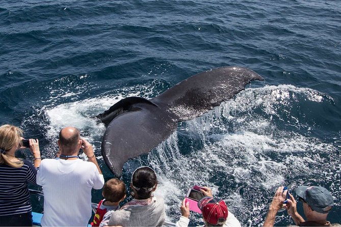San Diego Explorer Pass: Save up to 50% - Includes San Diego Zoo - Final Thought: Is the San Diego Explorer Pass Worth It?