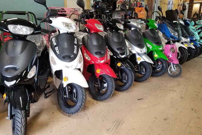 Savannah Scooter and Trike Rental with Helmet - Pricing and Value