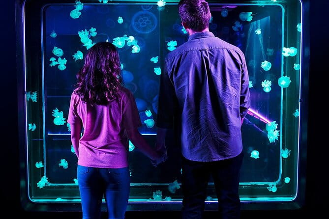 SEA LIFE Aquarium Grapevine Admission Ticket - FAQ