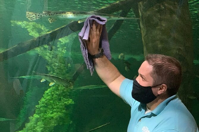 SEA LIFE Aquarium Minnesota Admission Ticket at Mall of America - Who Should Consider This Tour?