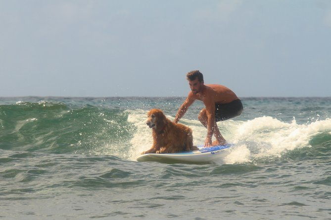 Semi-Private Surf Lesson - The Sum Up
