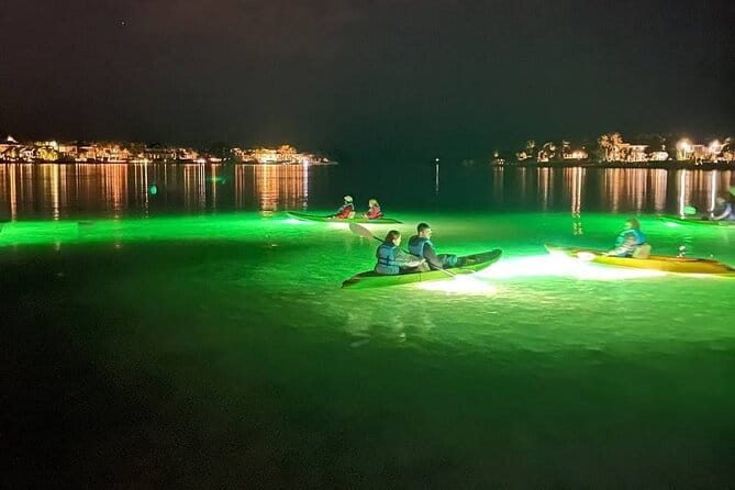 Sharkey's Glass Bottom Fish Feeding LED Night Tour in Sarasota - Who Would Enjoy This Tour?
