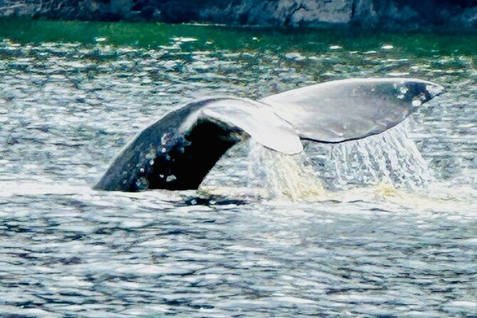 Small Group Boat Tour of Sitka - Who Is This Tour Best For?