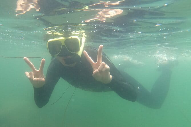 Snorkel San Diego's Mission Bay with a Marine Biologist - FAQs