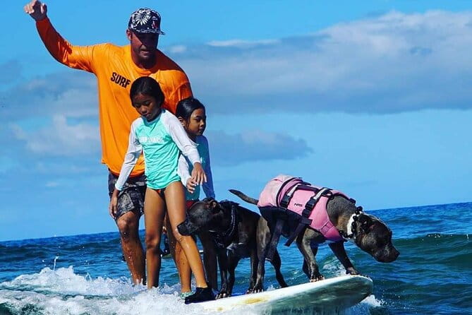 Surf with a Service Animal - The Sum Up