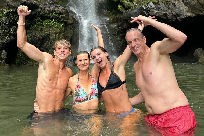 The best half day of your life! Luxury Road to Hana private tour - Final verdict