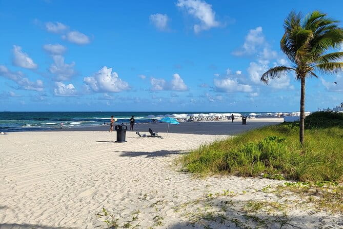 Transfer from Miami Airport to Hotel or Port Miami. Up to 11 pax. - Final Thoughts