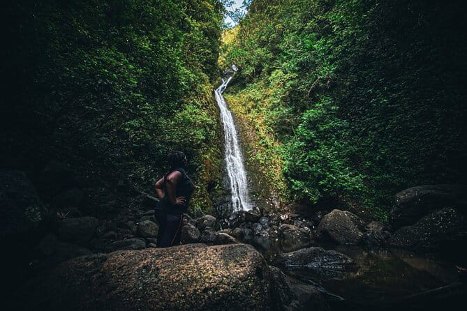 Waterfall Hike in Hawai'i Rainforest Trail - The Sum Up: The Real Value