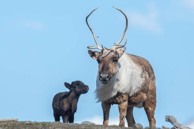 Wildlife Center with Lunch & Local Beer Sampling - Winter&Summer - FAQ