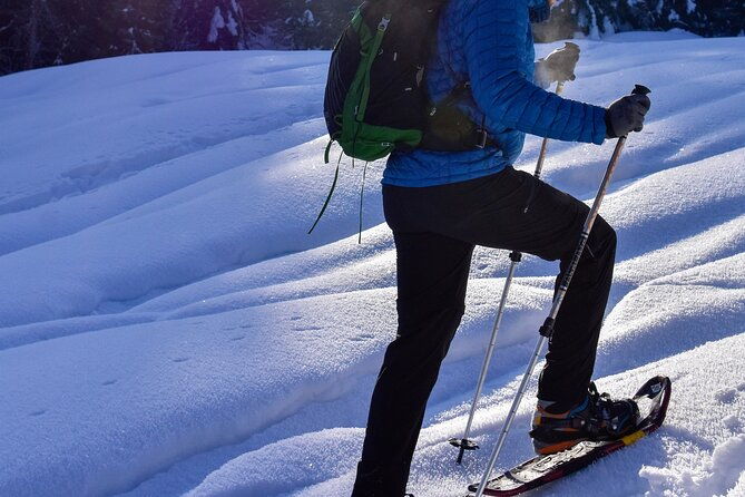 Yellowstone Full Day Winter Tour (With Optional Hike or Snowshoe) - Who Will Love This Tour?