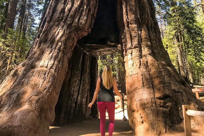 Yosemite and Giant Sequoias Day Tour - FAQ